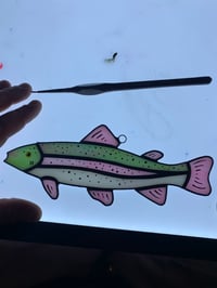 Image 3 of Rainbow Trout 🌈