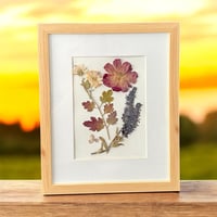 Image 1 of Genuine Chrysanthemum, Rose, Veronica And Hydrangea Wildflower Art In 8" X 10" Frame (Item# 2021148)