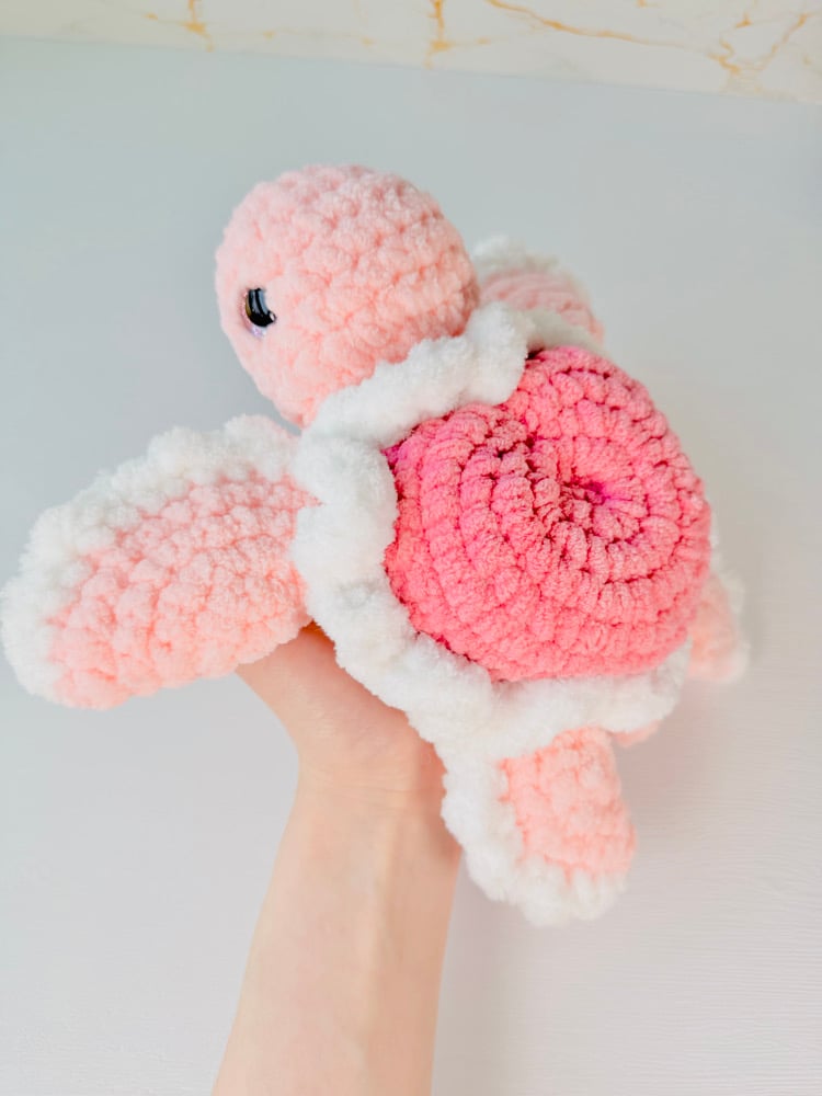 Image of Heart Turtle preorder