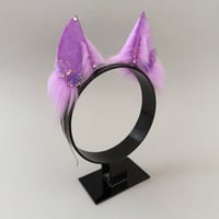 Image 3 of Lilac Blossom Fox 