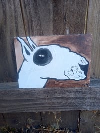 Image 8 of Bull Terrier Portrait 