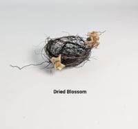 Image 2 of Ruth Proud Nests and Eggs