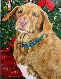 Image 5 of Dogs and people
