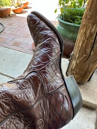 Image 1 of Anteater Boots Montana