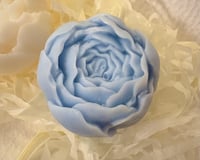 Image 2 of Snug and Bloom trio set