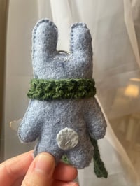 Image 3 of Basil the Bunny