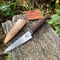 Image of 110mm Paring Knife AEB-L Myall