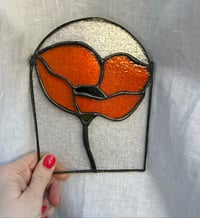 Image 1 of Poppy for Alison