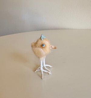 Image of Very Tiny Chicken Baby