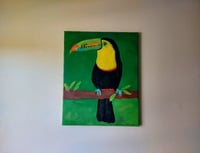 Image 5 of The Toucan