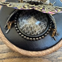 Image 3 of Snake skin  vertebrae  beetle (c, 4 inches)