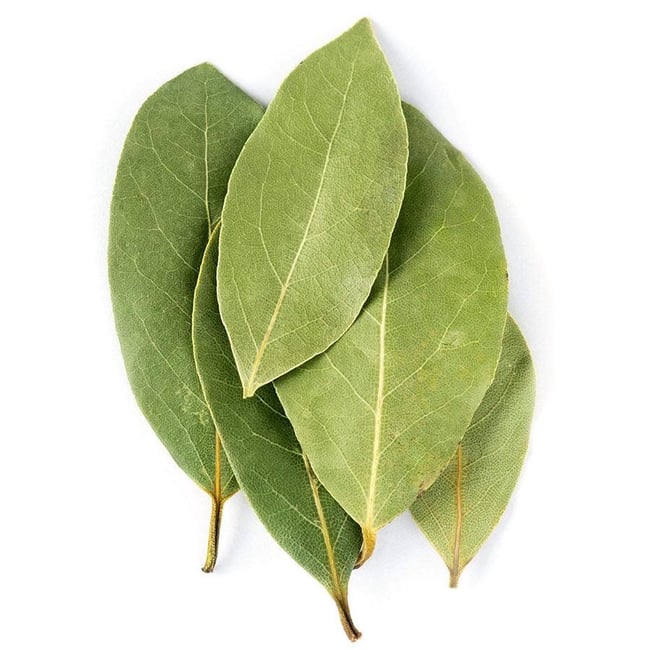 Bay Leaf