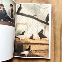 Image 4 of Lynn Alleva Lilley - Tender Mint (Signed)