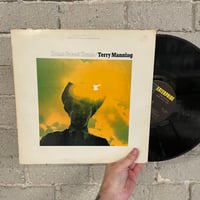 Terry Manning – Home Sweet Home - First Press LP 