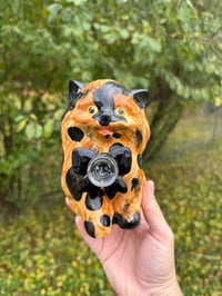 Image 6 of Medium Kittens 