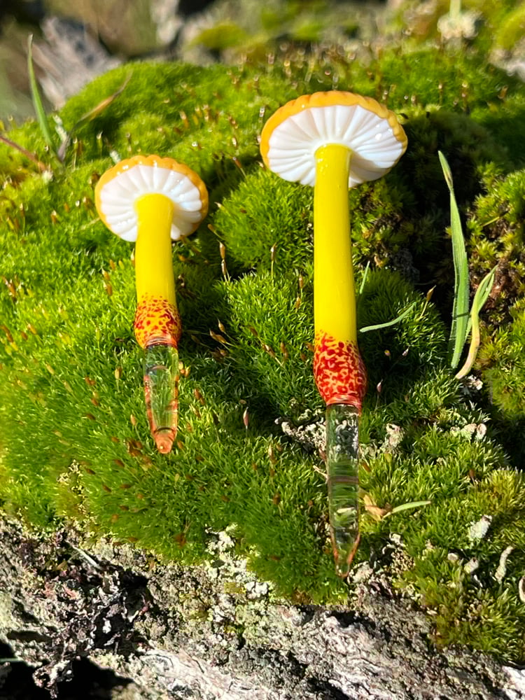Image of 2 Yellow & Orange Mushroom Plant Spikes