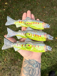 Image 1 of Pre order Cutthroat Trout 