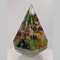 Image 5 of Four Seasons<br>80mm D4 Chonk