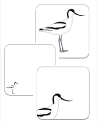 Image 2 of Avocet - #9 - Wild Britain Series 