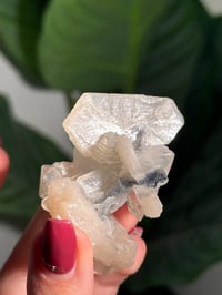 Image 4 of BOWTIE STILBITE X DIAMOND APOPHYLITE -INDIA- K