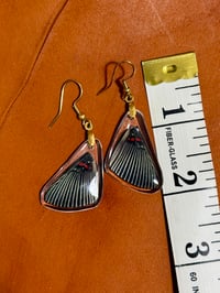 Image 2 of Apollo Metalmark Forewings