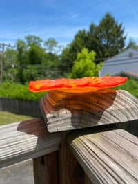 Image 2 of Fused Glass Hibiscus Trinket/Soap Dish 