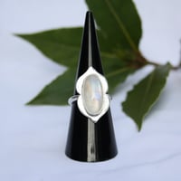 Image 1 of Shielded (Moonstone)