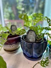 Image 2 of RIP My Sanity plantstake 