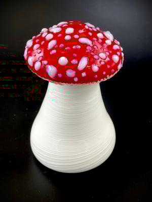 Image of Amanita Muscaria Mini Functional