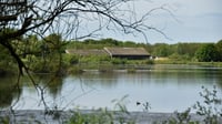 Image 3 of Painting Workshop at Idle Valley Nature Reserve
