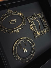 Image 2 of Hedgehog bones/tooth gallery wall