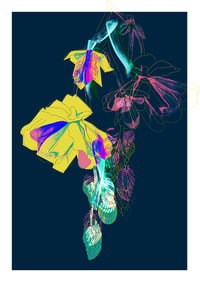 Image 1 of hanging flower graphic