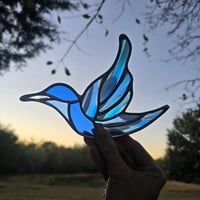 Image 3 of Blue Fremont Hummingbird