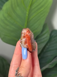 Image 2 of TUMBLED AGATE #14 -MALAWI-