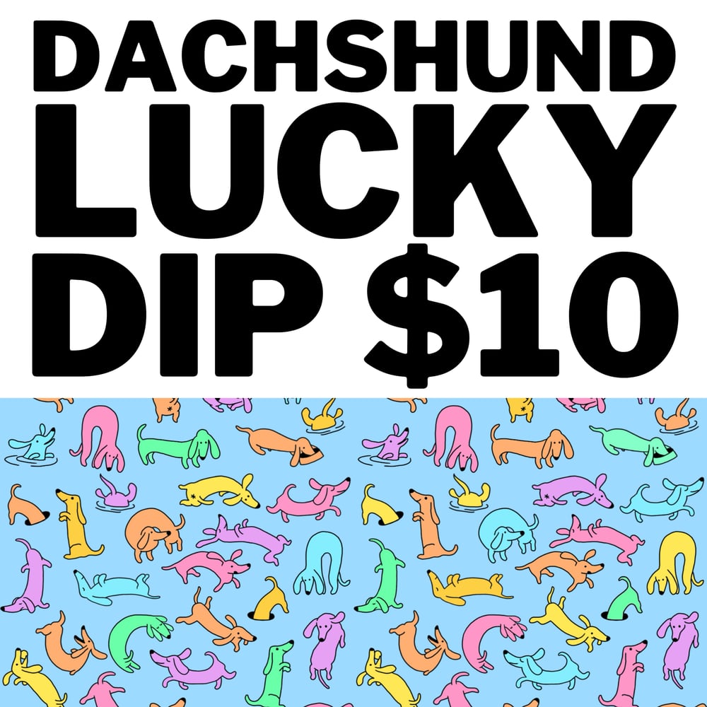 Image of $10 Dachshund Lucky Dip