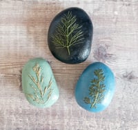 Image 5 of Wildflower Pebbles 