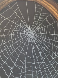 Image 4 of Beautiful Victorian framed wall hanging preserved spider web