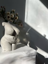 Image 1 of CEMENT FEMALE