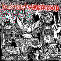 Destruct / Svaveldioxid “split” 7”