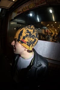 Image 3 of Erosion reversible skully