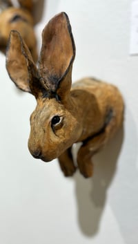 Image 1 of To cook your Hare, you must first catch it- Julie Kradel