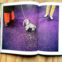 Image 5 of Nathan Benn - A Peculiar Paradise 