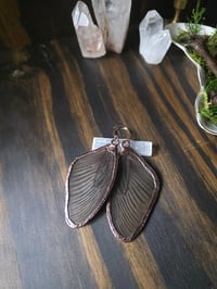 Image 3 of Butterfly Wing Earrings (black)