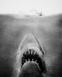 Jaws