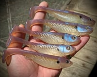 Image 5 of 5" G5 Hand Poured Swimbaits - "BLUEBACKS”