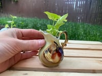 Image 1 of Arrowhead Vine in Small Tan Pear Creamer