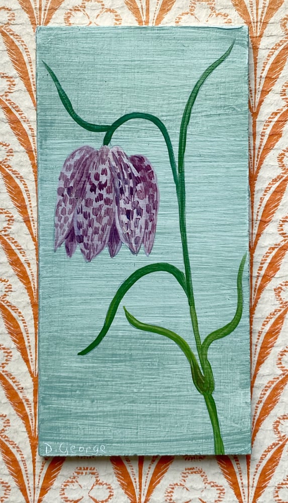 Image of Fritillary