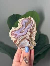 Image 1 of DOUBLE SIDED LAGUNA AGATE SLICE B WITH PARALAX