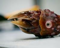 Image 1 of Little Monster Toothy pendant, OOAK,