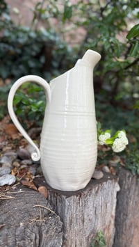 Image 7 of Pitcher 01
